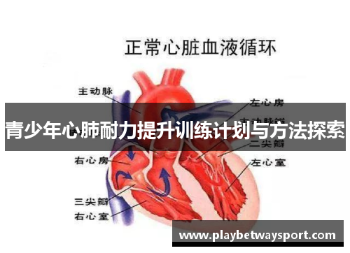 青少年心肺耐力提升训练计划与方法探索