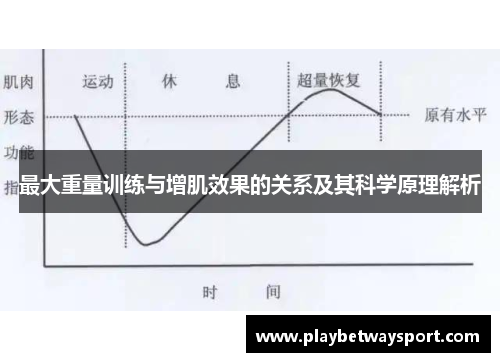 最大重量训练与增肌效果的关系及其科学原理解析