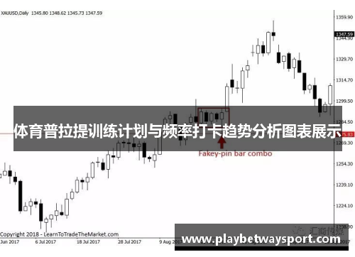 体育普拉提训练计划与频率打卡趋势分析图表展示
