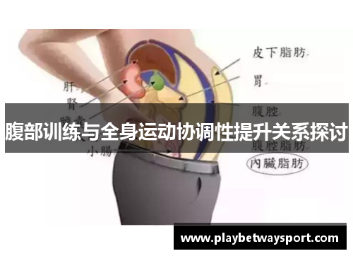腹部训练与全身运动协调性提升关系探讨